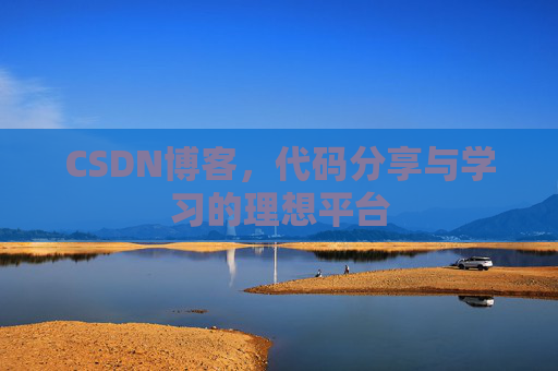 CSDN博客，代码分享与学习的理想平台